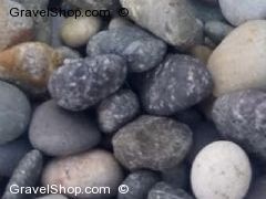 Beach Pebble - Multicolor - Medium image