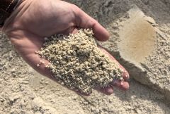 Sand / Screenings image