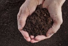 Soil & Dirt image